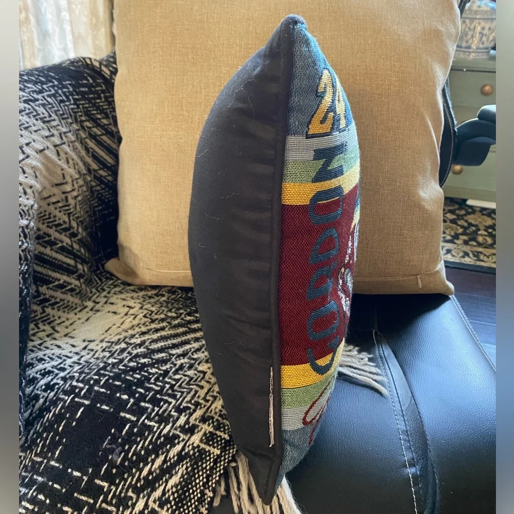 LIKE NEW VINTAGE—Vintage 1999 Jeff Gordon NASCAR Throw Pillow